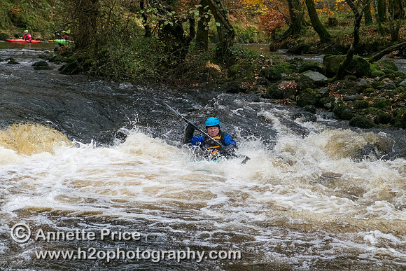 River Dart, UK