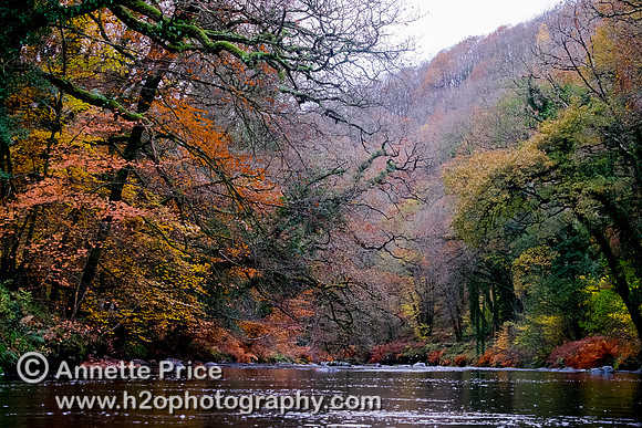 River Dart, UK