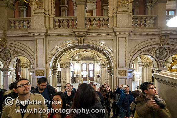 Vienna - Royal Opera House