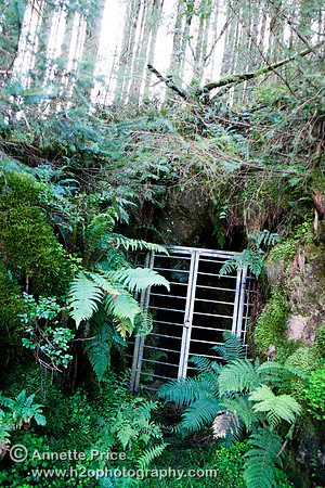 Ystrad Einion Copper Mine, Mid-West Wales, UK