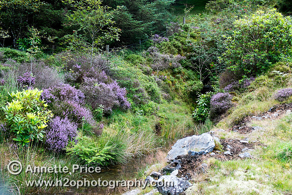 Ystrad Einion Copper Mine, Mid-West Wales, UK