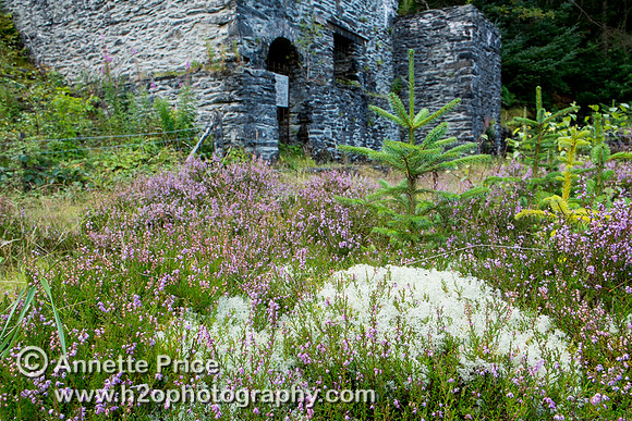 Ystrad Einion Copper Mine, Mid-West Wales, UK