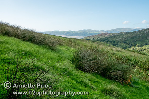 Ystrad Einion Copper Mine, Mid-West Wales, UK