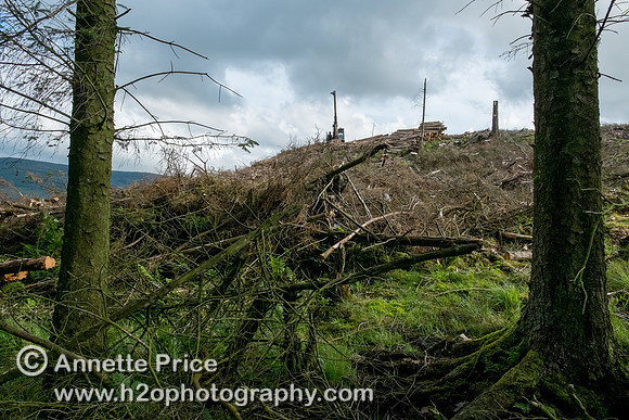 Ystrad Einion Copper Mine, Mid-West Wales, UK