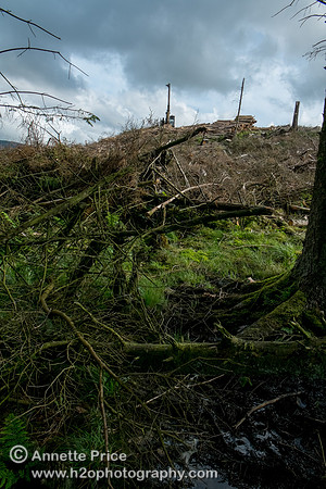 Ystrad Einion Copper Mine, Mid-West Wales, UK