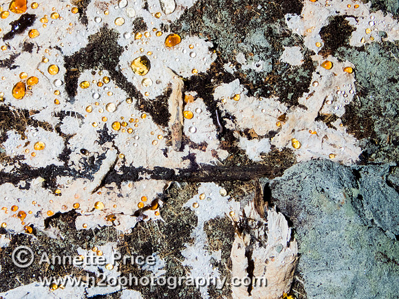 Rabbit Mine, Godstone, UK