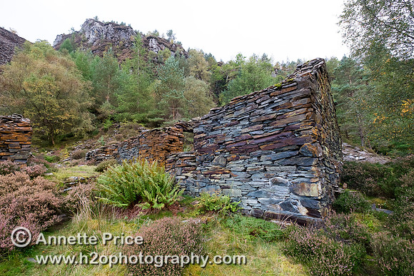 Klondyke Mill, north Wales, UK