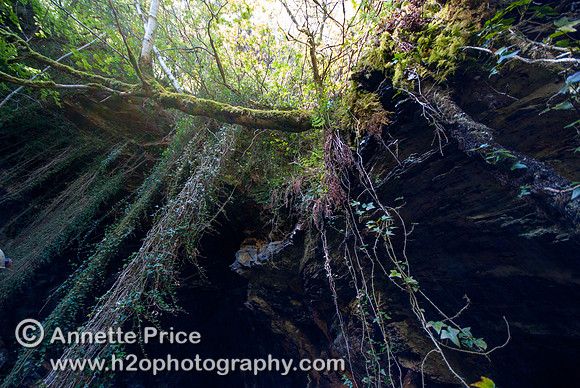Cae Coch Sulphur Mine