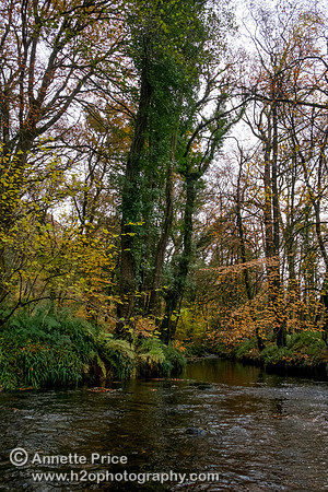 River Dart, UK