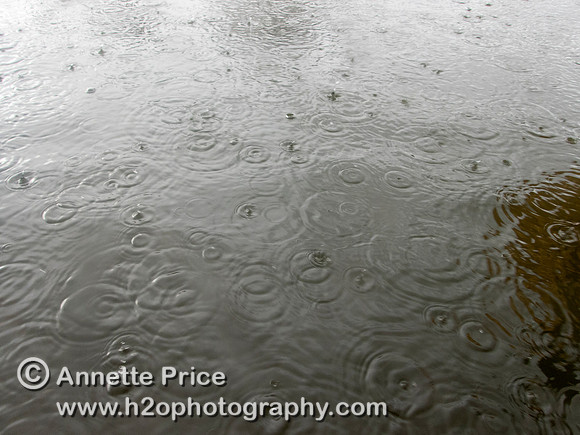 Kayaking on the River Thames near Chiswick, in the rain. London