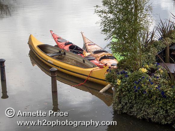 Kayaking at High water on the River Thames.  White Swan Pub - Twickenham, London.