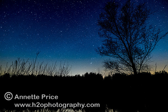 Stars over Bramshill Lake, near Reading, UK