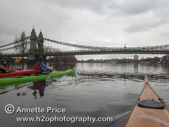 Kayaking on the River Thames,  approaching Hammersmith Bridge. London