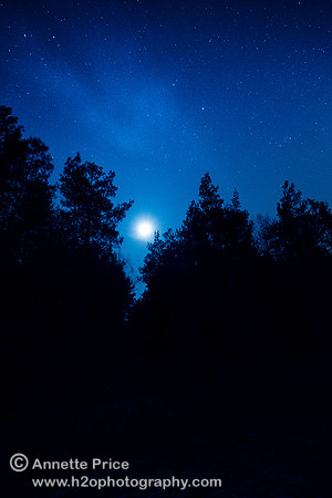 Moon and Stars over Bramshill Lake, near Reading, UK