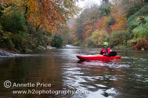 River Dart, UK