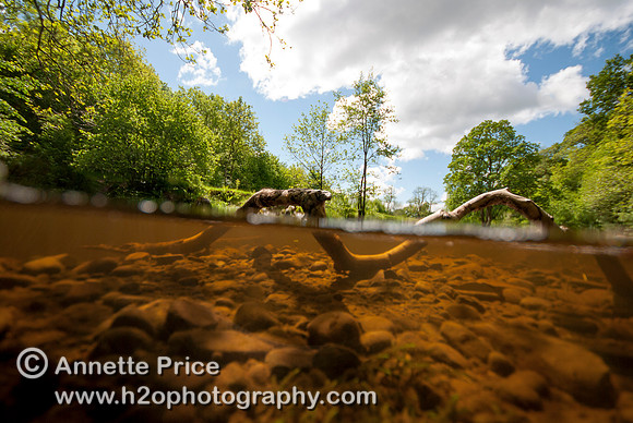River Mellte, Ystradfellte, Brecon Beacons, Wales,UK