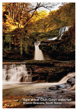 Postcard