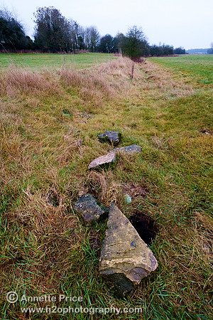 Thames Head. River Thames, Kemble.