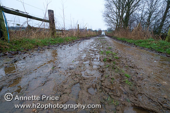 The second bridge over the River Thames. 1 mile from the source at Kemble.