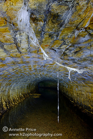 Spiders webs dangle from the roof of a tunnel beneath the A429 Bridge, River Thames, near Kemble.