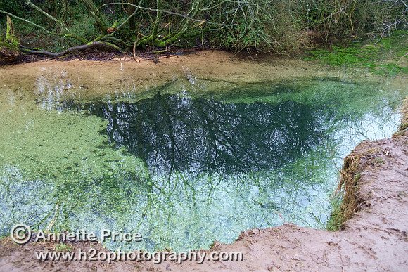 The River Thames, south of the A429, near Kemble.