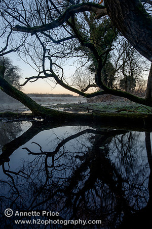 Dawn at Lyd Well. Water is currently emerging from underground forming the start of the River Thames