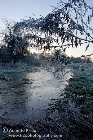 Dawn at Lyd Well. Water is currently emerging from underground forming the start of the River Thames