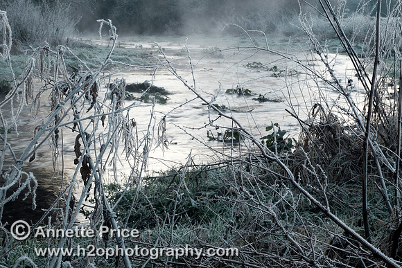 Dawn at Lyd Well. Water is currently emerging from underground forming the start of the River Thames
