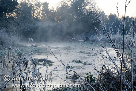 Dawn at Lyd Well. Water is currently emerging from underground forming the start of the River Thames