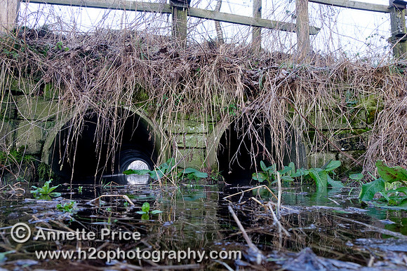 Tubes allowing the Thames to flow beneath the second bridge over the Thames. Near Kemble.