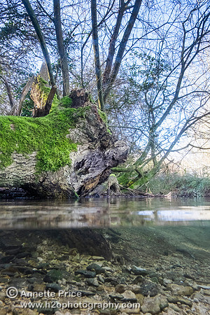 Split level photograph of the River  Thames, just south of the A429, near Kemble.
