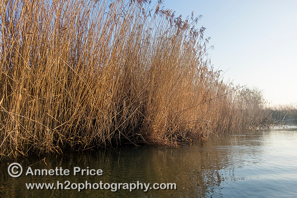 The River Thames between Cricklade and Castle Eaton.