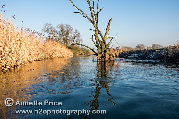 The River Thames between Cricklade and Castle Eaton.