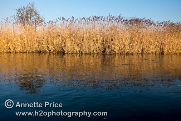 The River Thames between Cricklade and Castle Eaton.