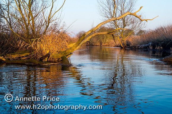 The River Thames between Cricklade and Castle Eaton.