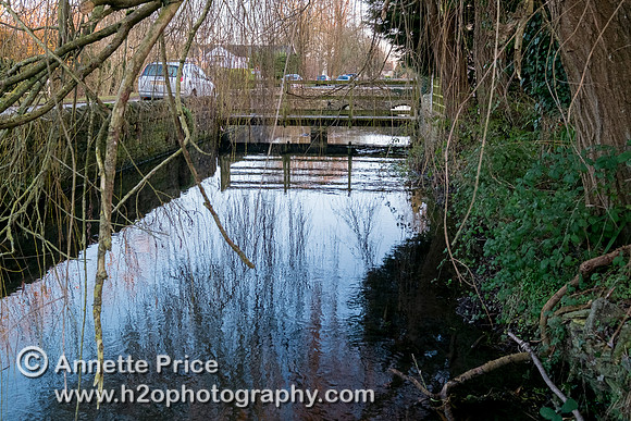 Ashton Keynes.  Most houses on the west side of the High Street have their own bridge over Thames.