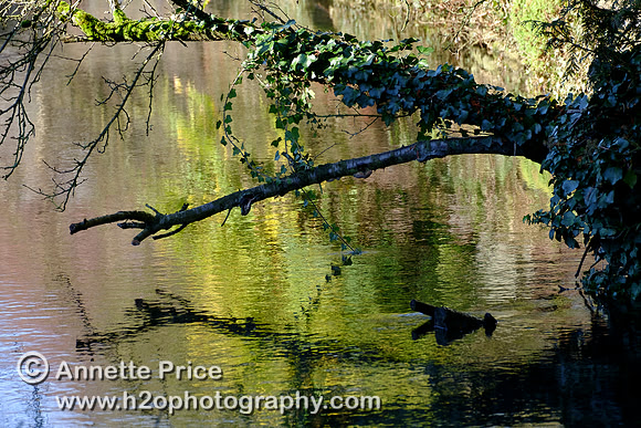 Ashton Keynes village, River Thames, UK
