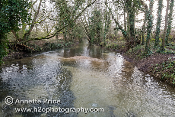 River Thames, up river from Ashton Keynes village, UK