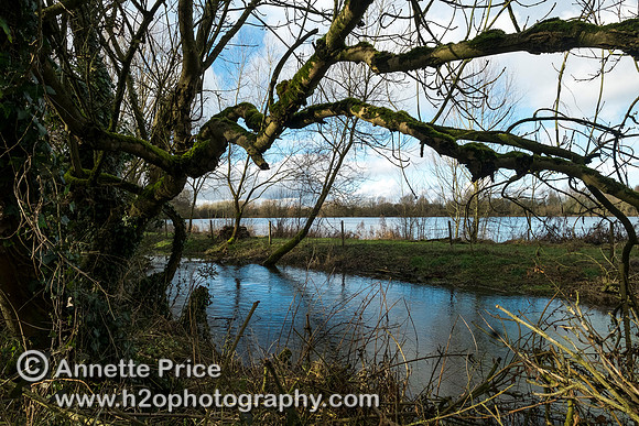 River Thames, up river from Ashton Keynes village, UK