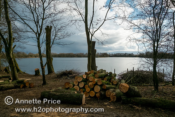 Gravel Pits, up river from Ashton Keynes village, UK