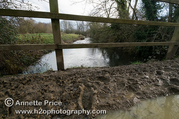River Thames, up river from Ashton Keynes village, UK