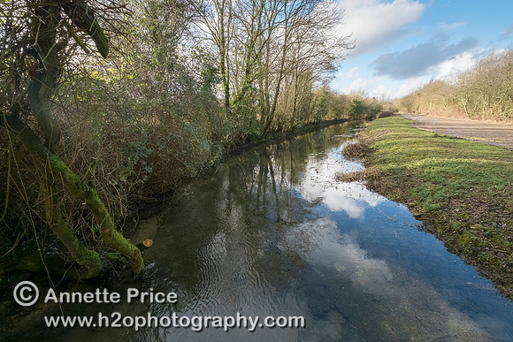River Thames, up river from Ashton Keynes village, UK