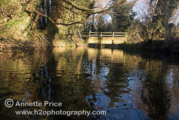 River Thames, up river from Ashton Keynes village, UK