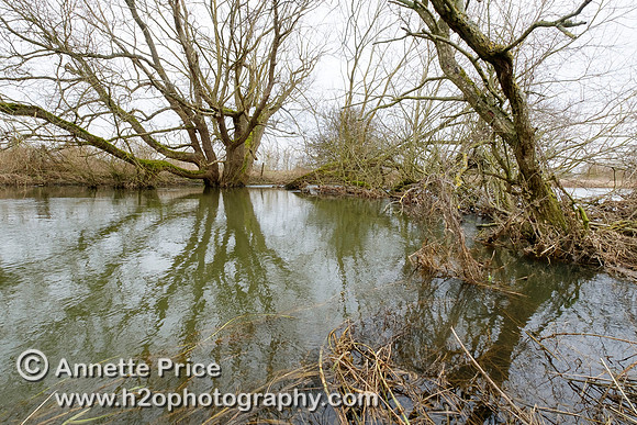 The River Thames at Cricklade