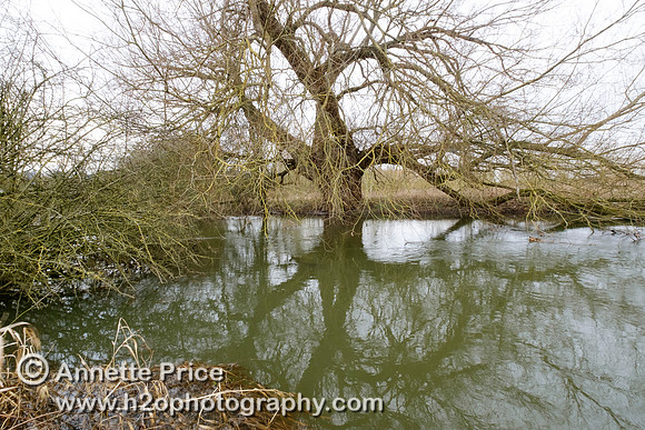 The River Thames at Cricklade