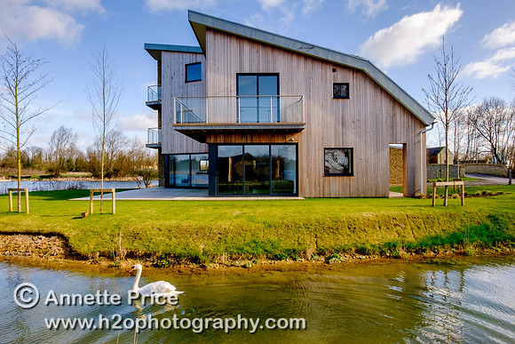 Swan with the Habitat House. Lower Mill Estate, Cotswolds.