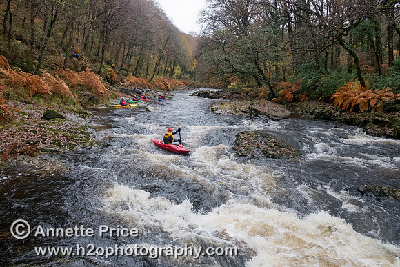 River Dart, UK