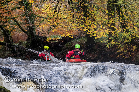 River Dart, UK