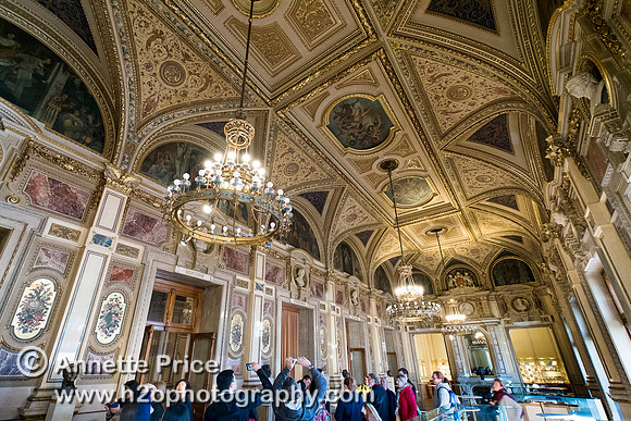 Vienna - Royal Opera House