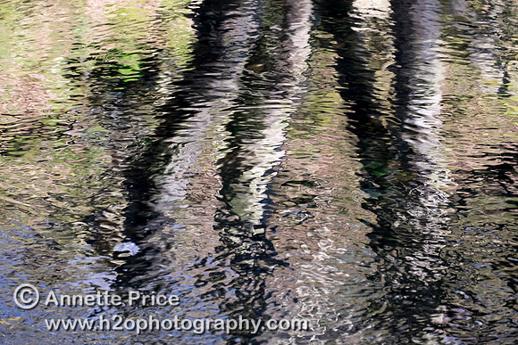River Mellte, Ystradfellte, Brecon Beacons, Wales,UK